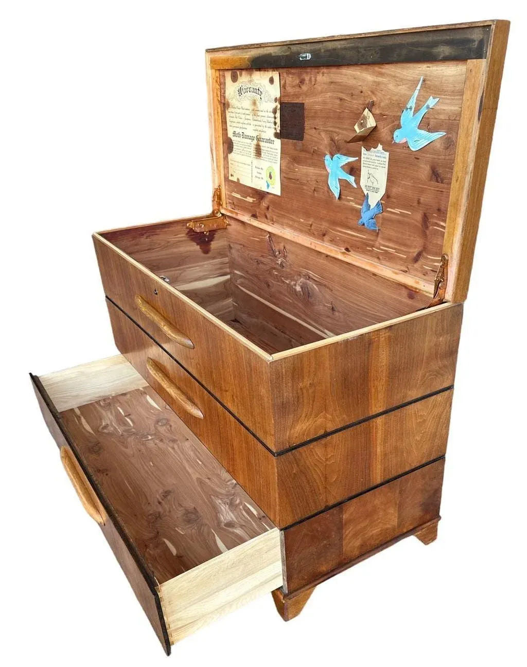 Merton Gershun Attributed Walnut Dillingham Bluebird Cedar Chest - Circa 1950s - Image 3